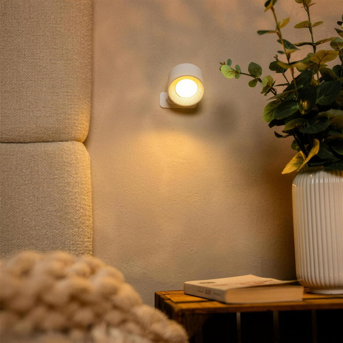 White Nook lamp on a textured wall beside a potted plant